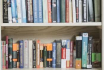 What is the Average Number of Pages in a Book?