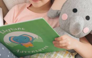 Can a Book Be a Toy?