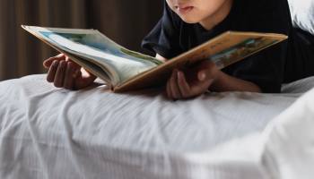 Why Do Books Have Images?