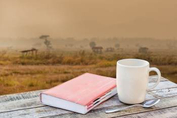 Are Books Considered Art?