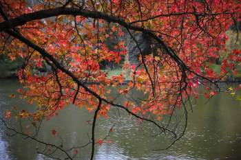 How Long Does It Take To Read To Kill a Mockingbird?