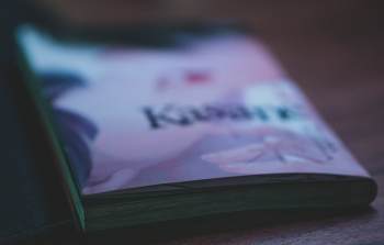 Light Novel vs. Manga: What’s the Difference?