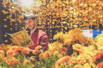 Are Dr. Seuss Books Good For Toddlers?