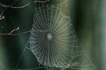 What Is Kate Dicamillo’s Favorite Book She Wrote?