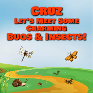 Cruz Let's Meet Some Charming Bugs & Insects!