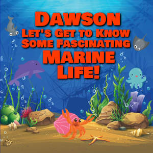 Dawson Let's Get to Know Some Fascinating Marine Life!