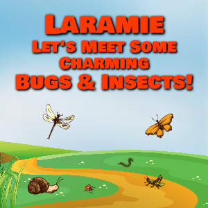 Laramie Let's Meet Some Charming Bugs & Insects!