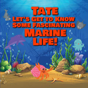 Tate Let's Get to Know Some Fascinating Marine Life!