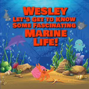 Wesley Let's Get to Know Some Fascinating Marine Life!