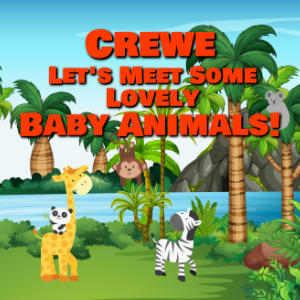 Crewe Let's Meet Some Lovely Baby Animals!
